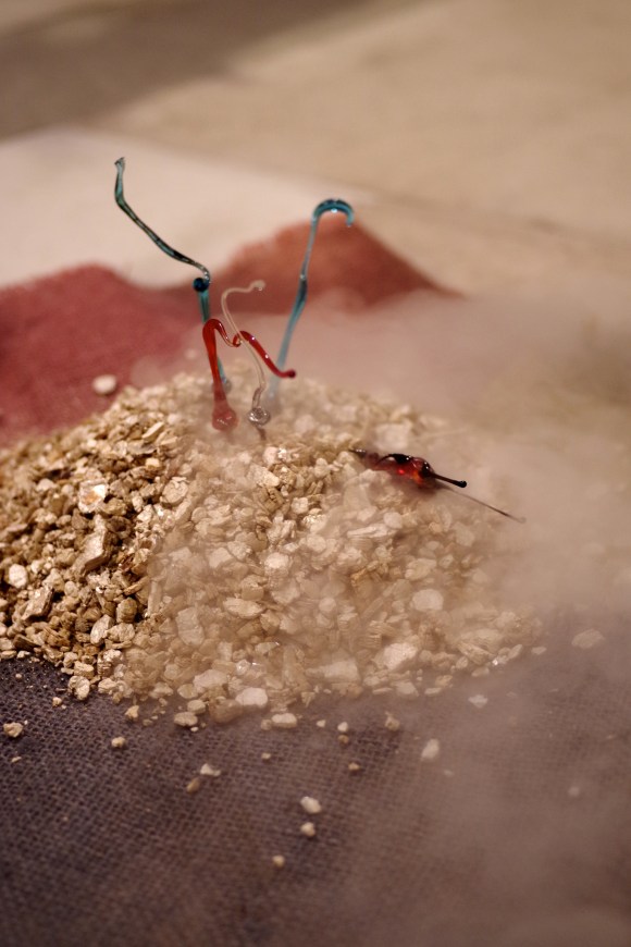 9577573175_c60c795f9e_k